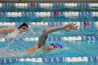 Swimming vs Bentley  Wheaton College Swimming vs Bentley. - Photo By: KEITH NORDSTROM : Wheaton, Swimming, Bentley